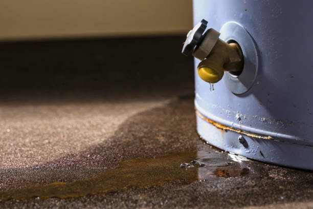  Rosedale, CA Water damage restoration Pros