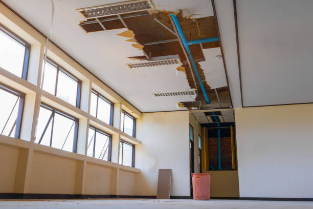 Best Flooded house restoration  in Rosedale, CA