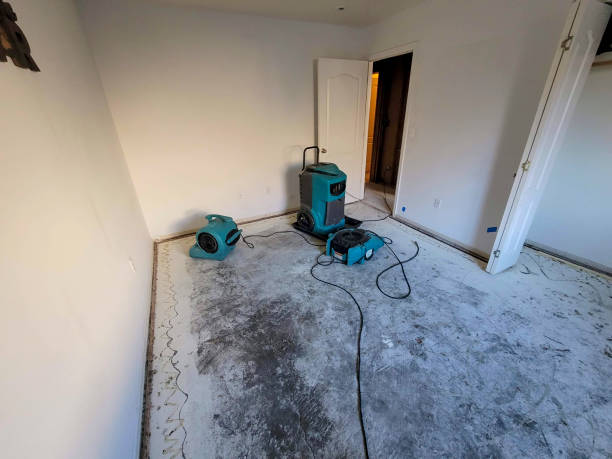 Best Water damage restoration near me  in Rosedale, CA