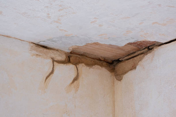 Best Water damage cleanup near me  in Rosedale, CA