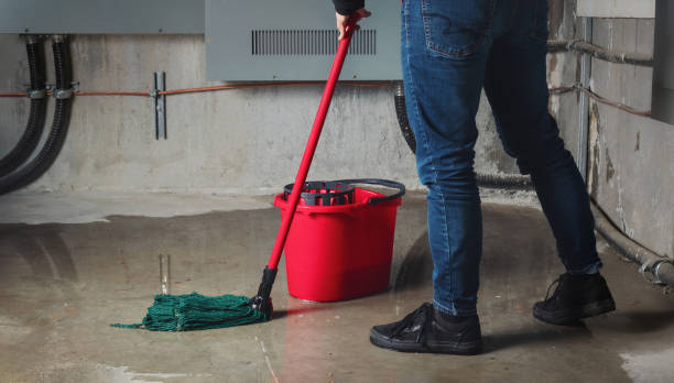 Best 24/7 water damage repair  in Rosedale, CA