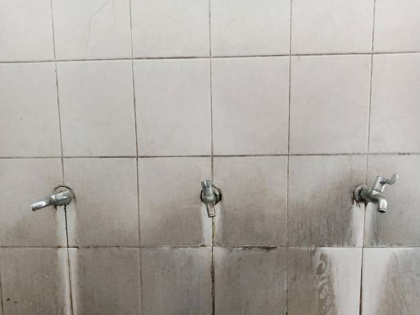 Best Sewage cleanup and water damage restoration  in Rosedale, CA