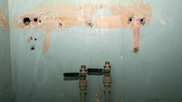 Best Flood restoration services  in Rosedale, CA