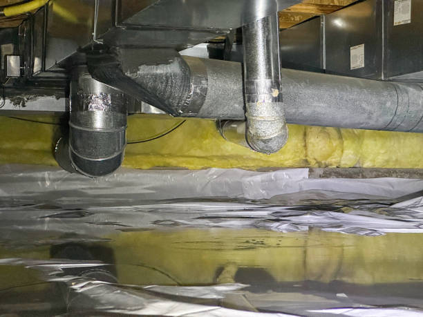 Best Carpet water damage restoration  in Rosedale, CA